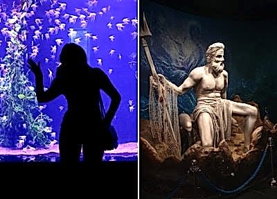 Alanya Antalya Akvaryum Turu